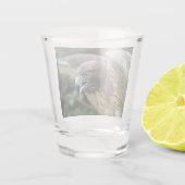 Rode-staartHawk Raptor Foto Shot Glas (Achterkant)