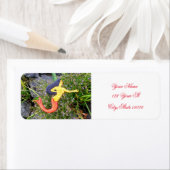 rode staartzeemeermin etiket (Insitu)