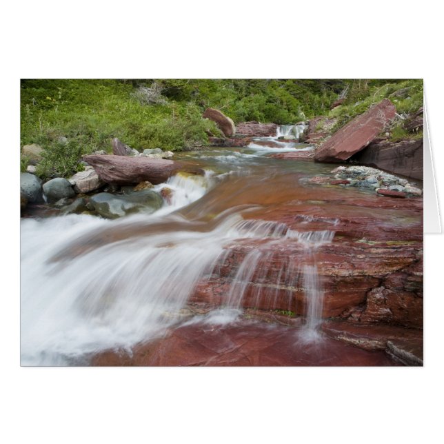Rode steen in Baring Creek in Glacier National (Voorkant Horizontaal)