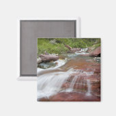 Rode steen in Baring Creek in Glacier National Magneet (Voorkant / Achterkant)