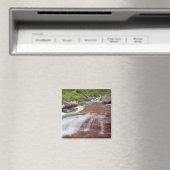 Rode steen in Baring Creek in Glacier National Magneet (Insitu (Vaatwasser))