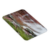 Rode steen in Baring Creek in Glacier National Magneet (Rechterzijde)