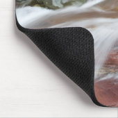 Rode steen in Baring Creek in Glacier National Muismat (Hoek)