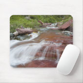 Rode steen in Baring Creek in Glacier National Muismat (Met muis)