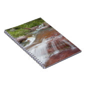 Rode steen in Baring Creek in Glacier National Notitieboek (Rechterzijde)