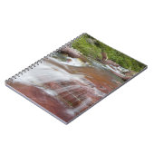 Rode steen in Baring Creek in Glacier National Notitieboek (Linkerzijde)