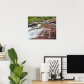 Rode steen in Baring Creek in Glacier National Poster (Thuiskantoor)