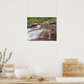 Rode steen in Baring Creek in Glacier National Poster (Keuken)