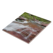 Rode steen in Baring Creek in Glacier National Tegeltje (Zijkant)