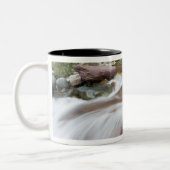 Rode steen in Baring Creek in Glacier National Tweekleurige Koffiemok (Links)