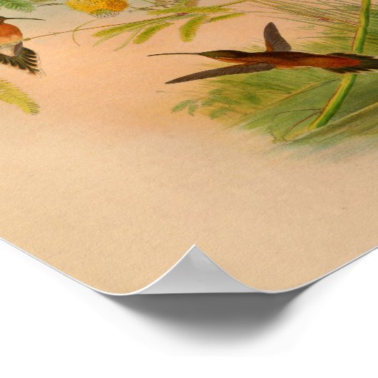  rode stekelkogels printbloemen poster (Hoek)