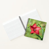 Rode Ster Bloem Groen Loof Notitieboek (Binnen)