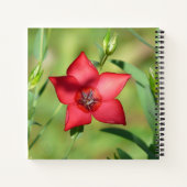 Rode Ster Bloem Groen Loof Notitieboek (Achterkant)