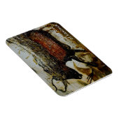 Rode stier van Lascaux Magneet (Rechterzijde)