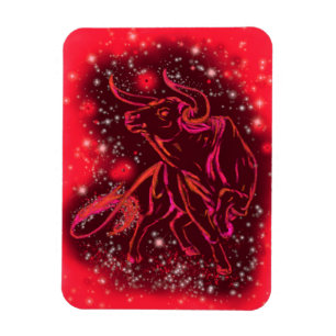 Rode stip met magneet op Sterrennacht