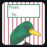 Rode strepen Schattigee eend Vierkante Sticker<br><div class="desc">Dit kerstcadeaulabel heeft een eendentekening. De felrode strepen maken de groene wilde eend pop. Zie onze winkel voor meer houten dieren kerstcadeaubonnen en geschenken om die labels op te zetten. Origineel kunstwerk van Wilderness Store</div>