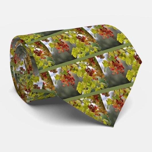 Rode stropdas van de bladeren (Opgerold)