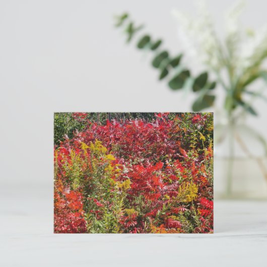 Rode Sumac in de herfst Briefkaart (Staand voorkant)