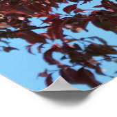 rode takken onder de blauwe hemel poster (Hoek)