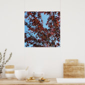 rode takken onder de blauwe hemel poster (Keuken)