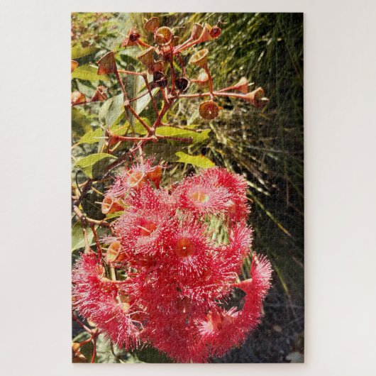 Rode tandvlees in de zon legpuzzel (Verticaal)