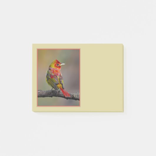 Rode Tangare in de rui - Originele Foto Post-it® Notes (Voorkant)