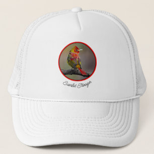 Rode Tangare in de rui - Originele Foto Trucker Pet