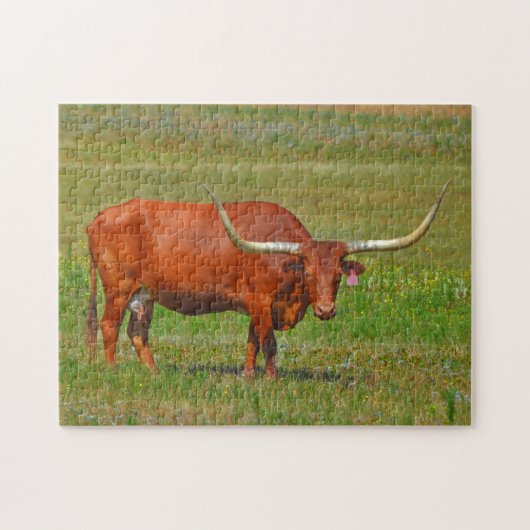 Rode Texaanse Longhorn Koe in Pasture Puzzle Legpuzzel (Horizontaal)