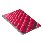 Rode theaterstoelen notitieboek (Rechterzijde)