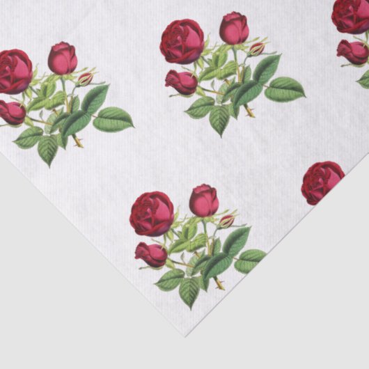  rode thee Rozen bloemen Tissuepapier (Detail)