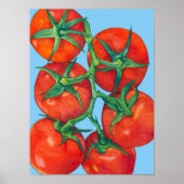 Rode tomaten blauw Poster (Voorkant)