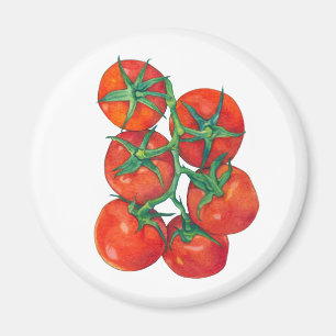 Rode tomaten magneet