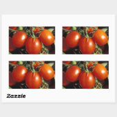 Rode tomaten rechthoekige sticker (Vel)