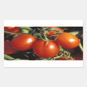 Rode tomaten rechthoekige sticker