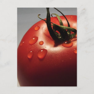 RODE TOMATO VERS FRUITS GROTTEN GEZONDE JUMMY BRIEFKAART