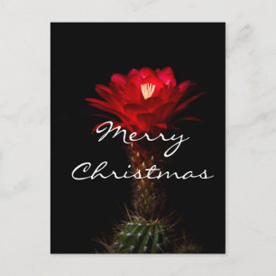 Rode toorts cactus bloem, Prettig kerstfeest Feestdagenkaart