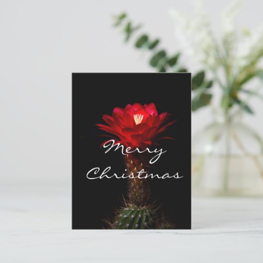 Rode torchusbloem, pretkerst feestdagenkaart (Staand voorkant)