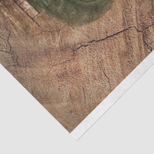 rode trekker, bijtende schuur tissuepapier (Detail)