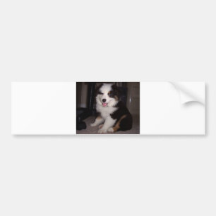 rode tri Puppy mini aussie Bumpersticker