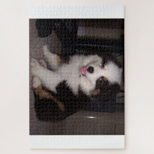 rode tri Puppy mini aussie Legpuzzel