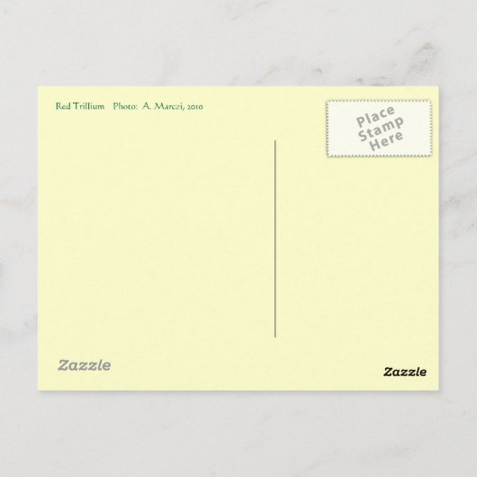 Rode Trilliumventiel Briefkaart (Achterkant)