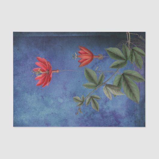  Rode Tropische Bloemen Tissuepapier (Voorkant)