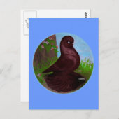 Rode Tuimelduivencirkel Briefkaart (Voorkant / Achterkant)