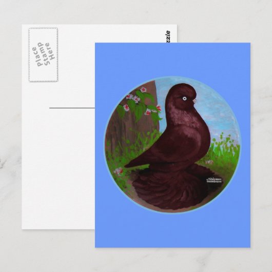 Rode Tuimelduivencirkel Briefkaart (Voorkant / Achterkant)