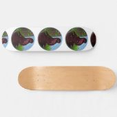 Rode Tuimelduivencirkel Persoonlijk Skateboard (Horizontaal)