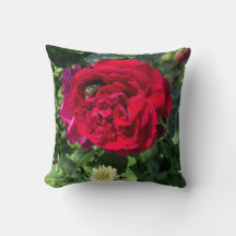 Rode tuin roos en bug