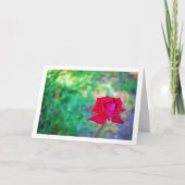 Rode Tuin Roos Portret Kaart (Voorkant)