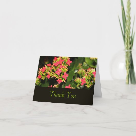 Rode tuinbloemen, bedankje bedankkaart (Voorkant)