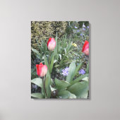 Rode tuintulpen canvas afdruk (Voorkant)