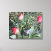 Rode tuintulpen canvas afdruk (Voorkant)